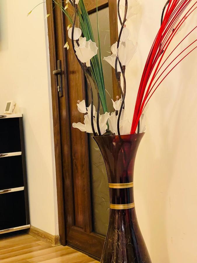 דירות יאשי Casa Iris מראה חיצוני תמונה